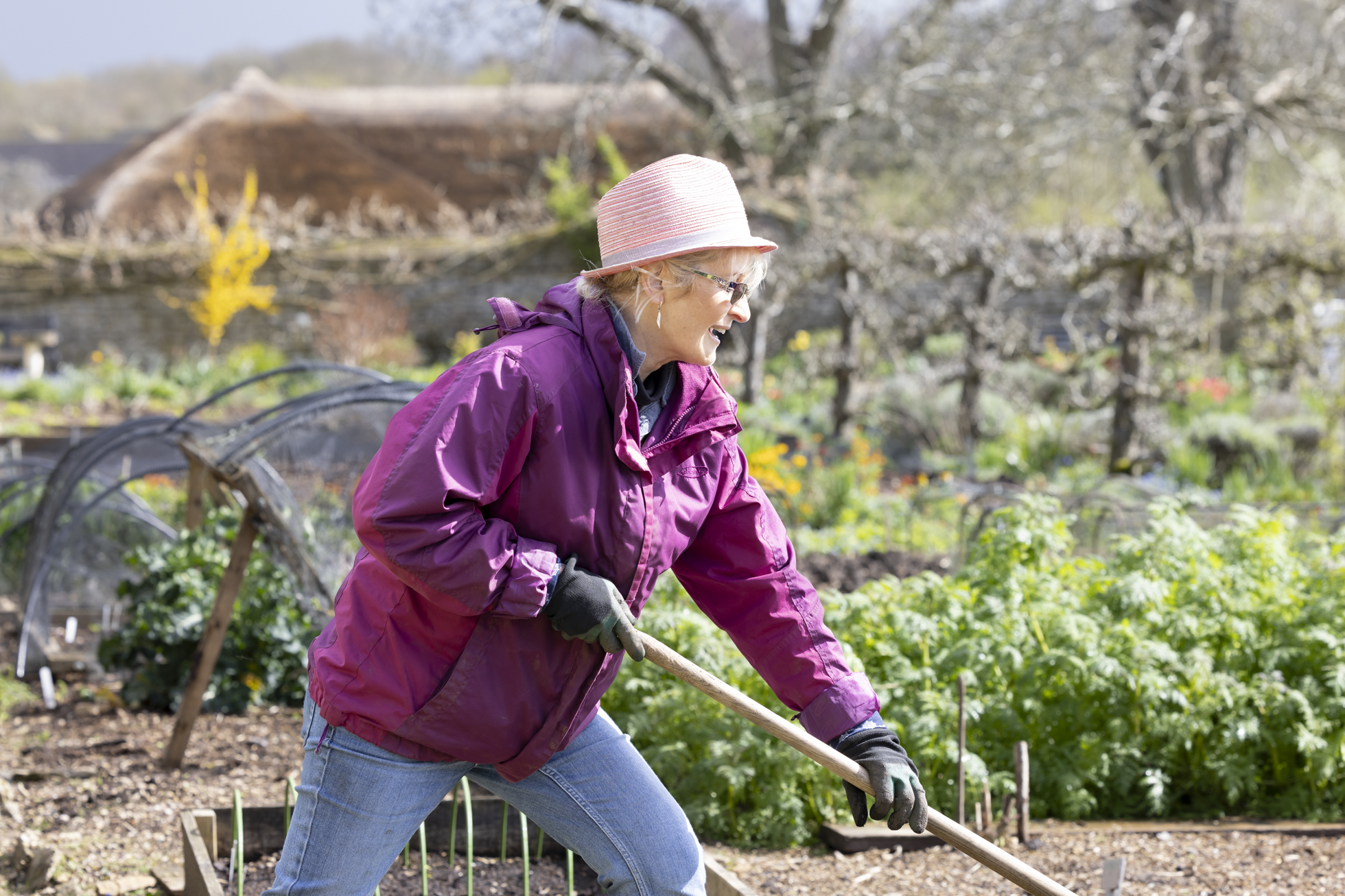 volunteers in garden 