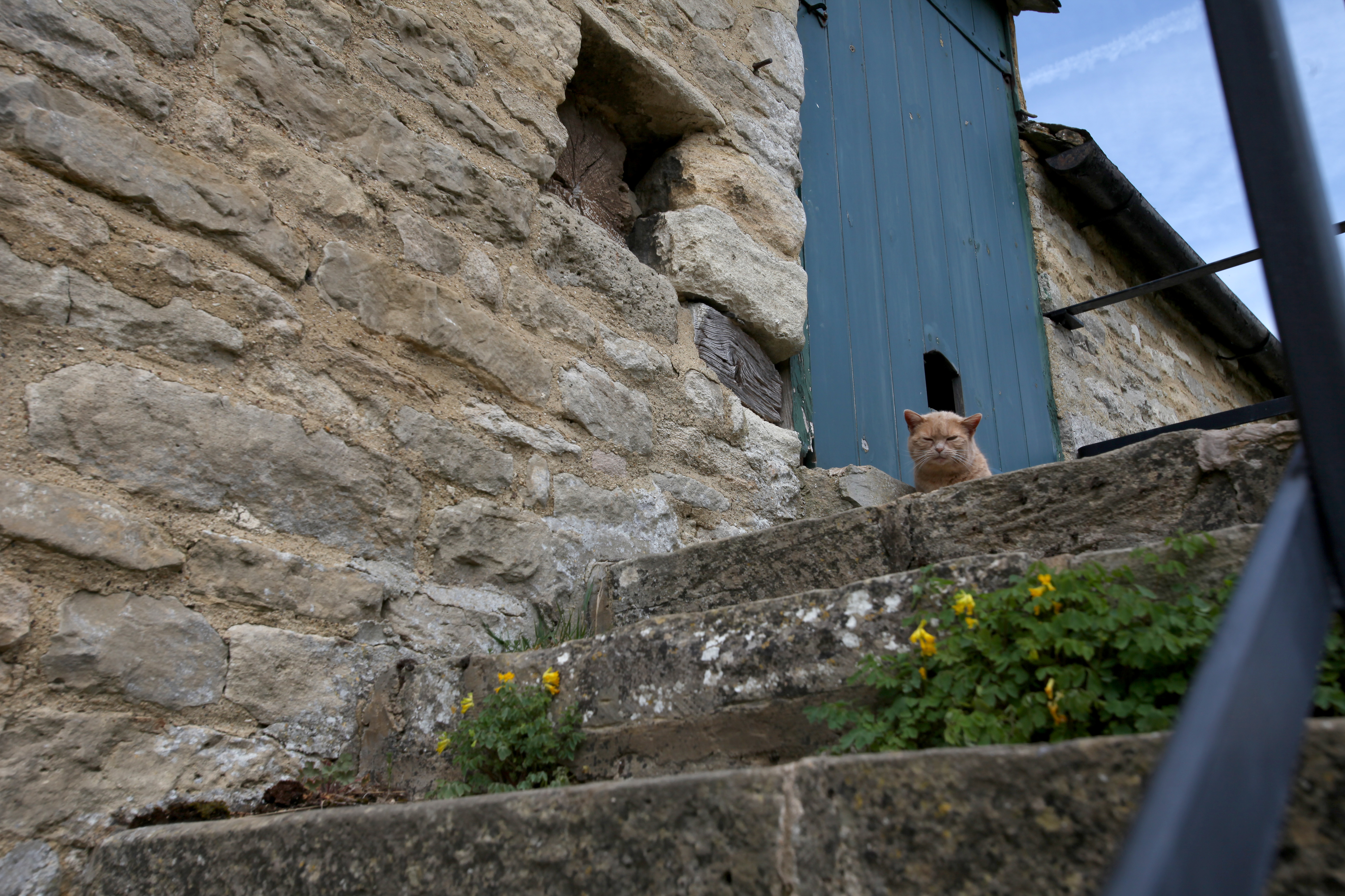 patsy cat by her green door