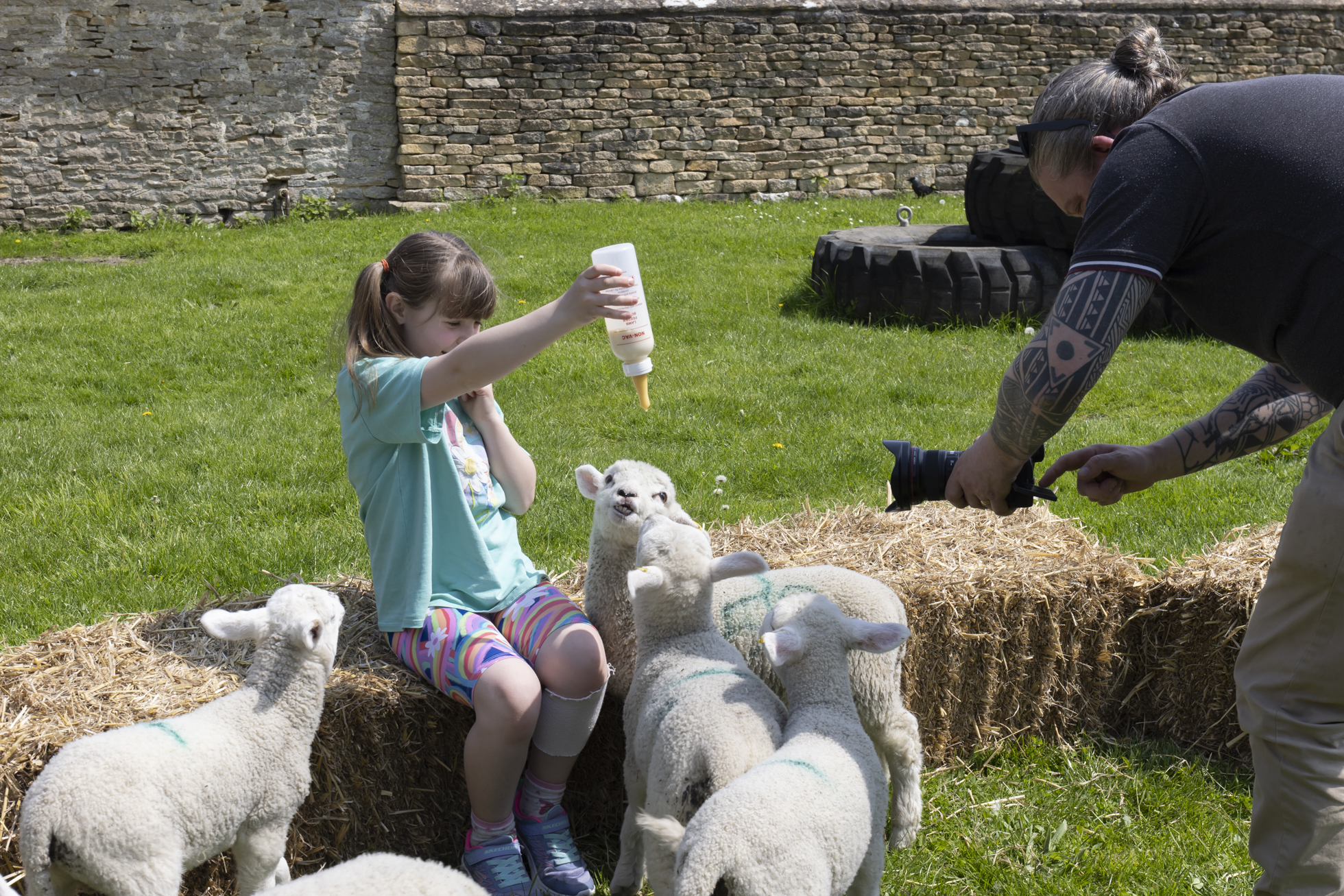 Lambs and child with photographer Ed Nix - photo by Cereta Drewett 